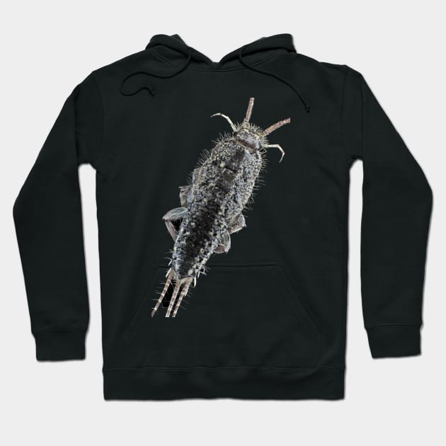 Zygentoma silverfish Hoodie by SDym Photography